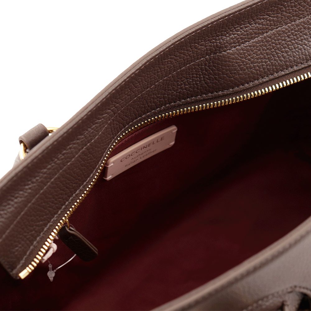 Women's Fondant Brown Leather Handbag COCCINELLE York L