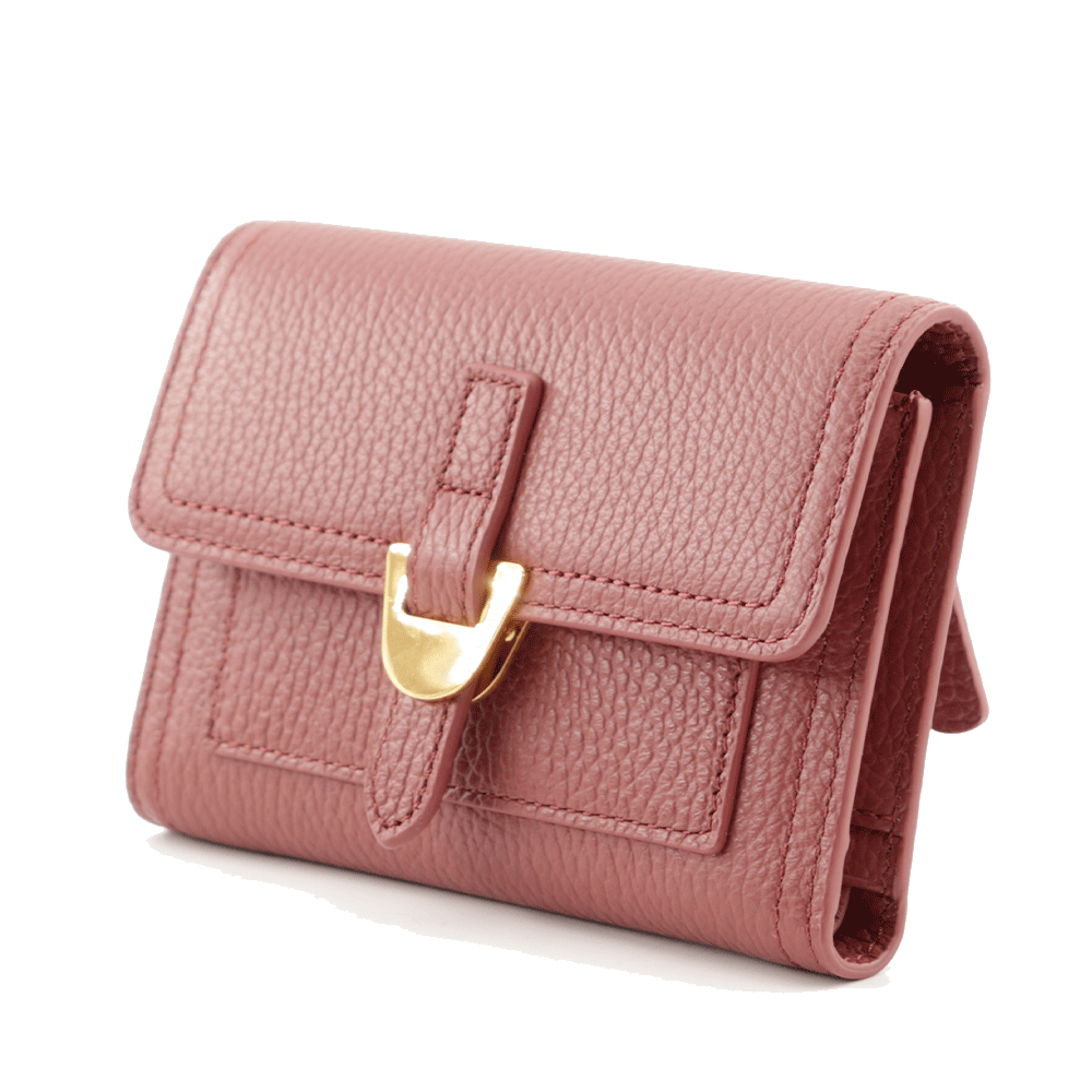 Portafoglio Donna COCCINELLE in Pelle Brandy Linea Campus con Zip Posteriore